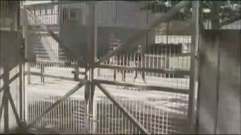 David Guetta Vs. The Egg - Love Don't Let Me Go.mp4