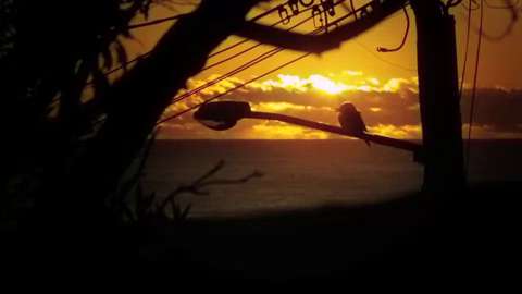 Luchian Cris - Summer Feeling video.mpg