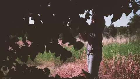 Light Year - Never Know (Official Video).mp4