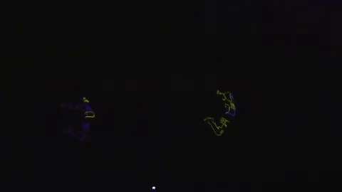 The Barking Dogs - Margherita (feat. Young Marco).mp4