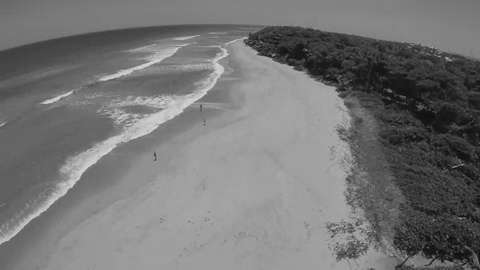 WHTKD - Say To Me (Official Video).mp4