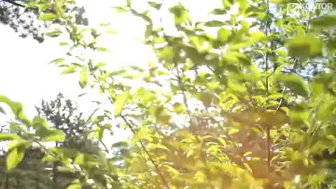 EDX & Tamra Keenan - Out Of The Rain (Official Video)