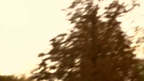 PAROV STELAR - ALL NIGHT (unofficial video by TIGHTROPE FILMS).mp4